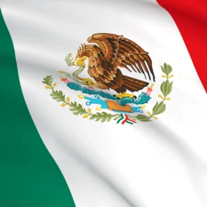 2026 Inspection Registration Payment | Mexico