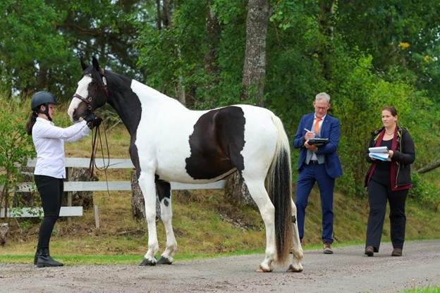 Nina Tuinman officially appointed jury member