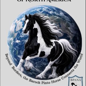 2026 Inspection Registration Payment | Guadalajara